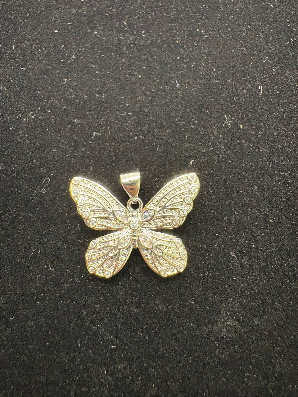 Mariposa Brillante