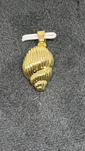 Caracola Dorada