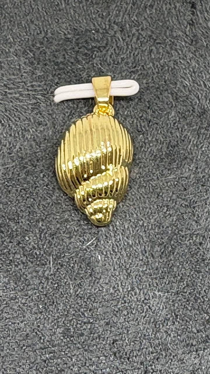 Caracola Dorada