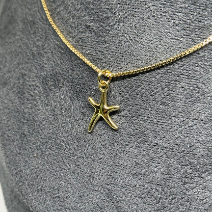 Estrella Divertida